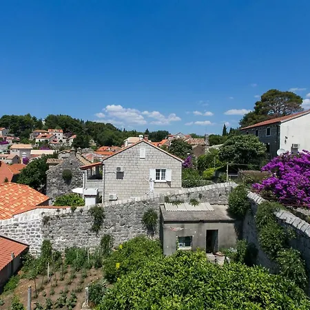 Apartman Iva *